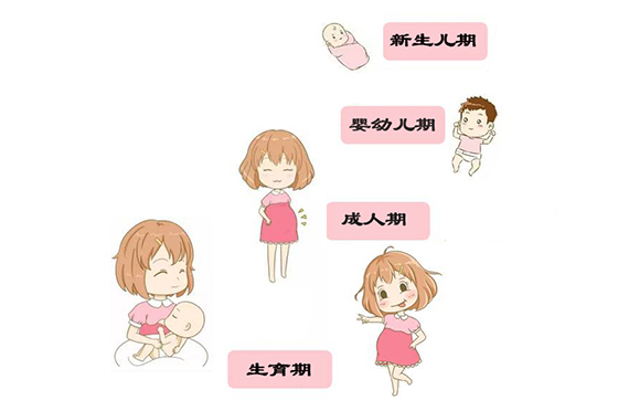 缺碘或碘过量，各年龄段影响各不相同