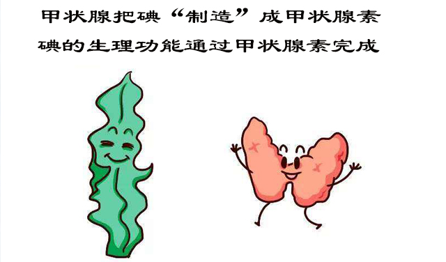 甲状腺结节和碘有关系吗？