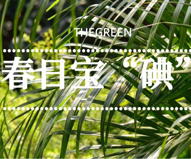 快来get你的春日宝“碘”