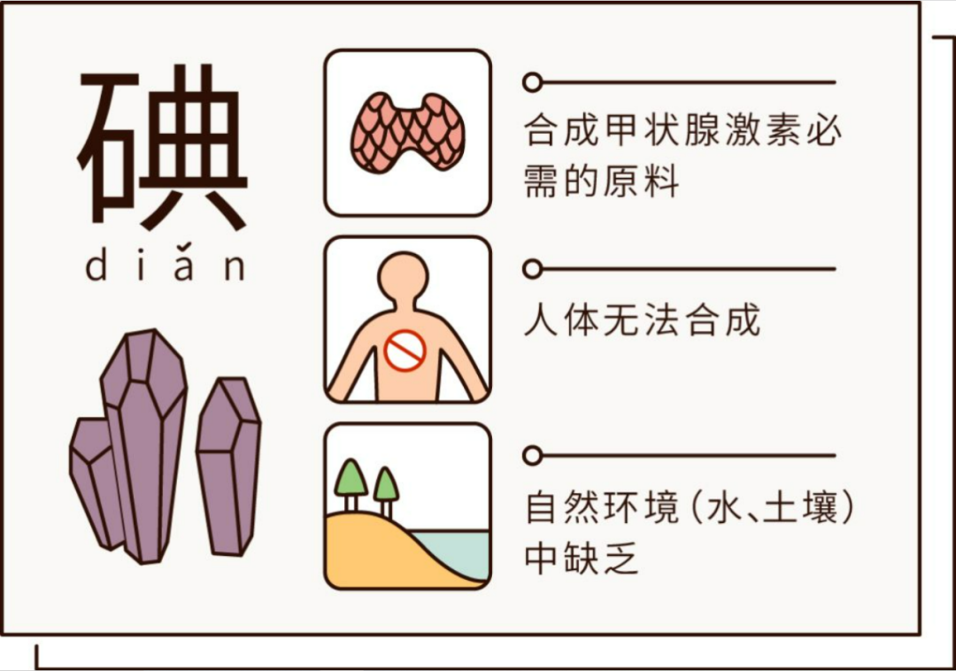 全自动碘分析仪 DAT－560 用于县级尿碘监测的适用性与可靠性研究