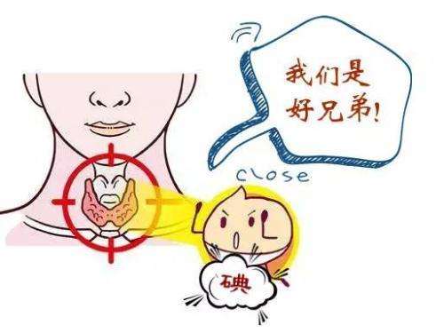 碘元素全自动检测仪厂家提示您：身体出现这些信号要小心是不是碘摄入出现了问题？