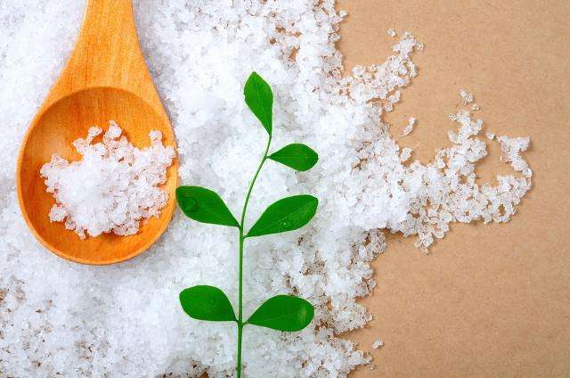 盐碘检测仪对食盐中碘含量的分析
